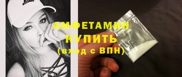 амф Тайга