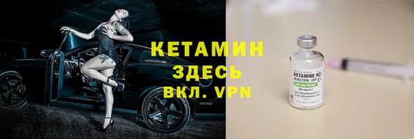 амф Тайга
