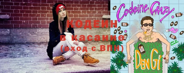 амф Тайга