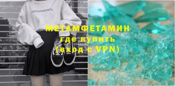 амф Тайга