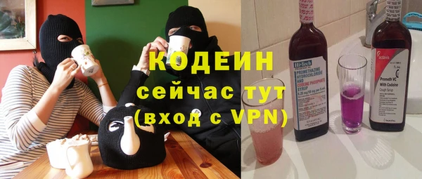 амф Тайга